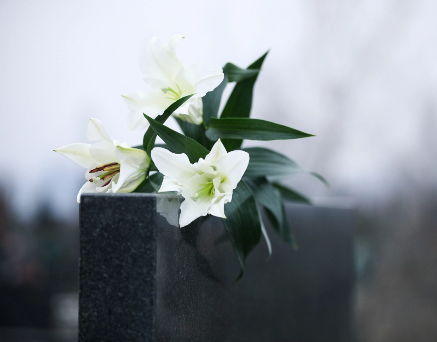 Image of tec nut single websites demo Memorials Get a new company website with: websites for start-ups, make business website, Square Space Website, free website builder, Free Website, Instant Website, website builder, Free Company Website, web building sites, example for website, Square Space